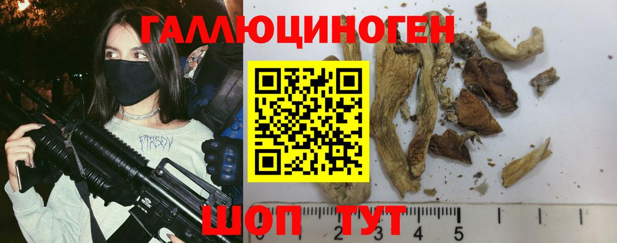 Когалым  Псилоцибиновые грибы мицелий  Вход с VPN  Галлюциногенные грибы GOLDEN TEACHER 